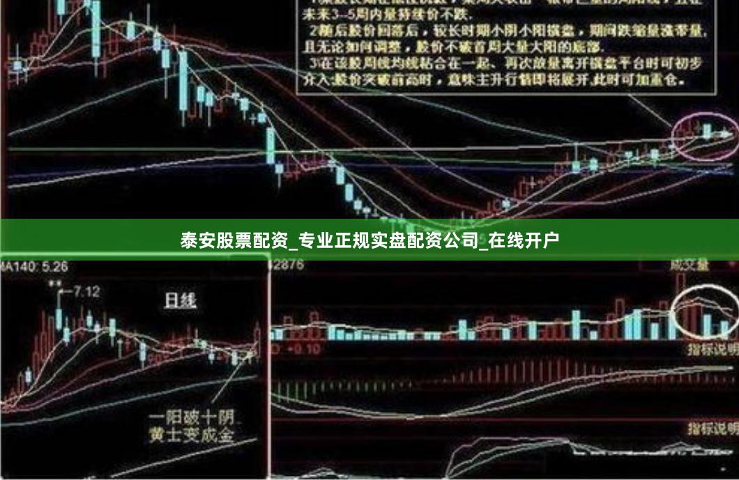 泰安股票配资_专业正规实盘配资公司_在线开户