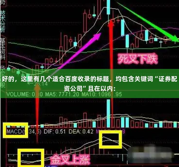 好的，这里有几个适合百度收录的标题，均包含关键词“证券配资公司”且在以内：